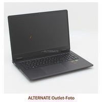 OMEN 17-db0184ng, Gaming-Notebook schwarz, AMD Ryzen 7 8845HS, NVIDIA GeForce RTX 4070, 32 GB DDR5, 512 GB (512 GB SSD), ohne Betriebssystem