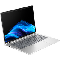 HP ProBook 4 G1a (AD2M8ET), Notebook silber, AMD Ryzen 7 250, AMD Radeon 780M, 24 GB DDR5, 512 GB (512 GB SSD), Windows 11 Pro