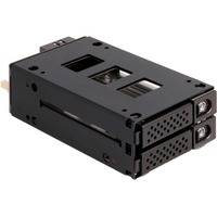 DeLOCK Slim Bay Wechselrahmen für 2 x 2.5″ U.2 NVMe SSD, Laufwerksgehäuse