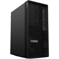 Lenovo ThinkStation P2 Tower Gen 2 (30JQ00CTGE), PC-System schwarz, Windows 11 Pro