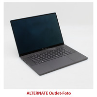 ASUS ROG Zephyrus G16 (GA605WV-QR025W), Gaming-Notebook grau, AMD Ryzen AI 9 HX 370, NVIDIA GeForce RTX 4060, 32 GB LPDDR5X, 1 TB (1 TB SSD), Windows 11 Home 64-Bit