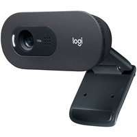 Logitech C505e, Webcam schwarz, Bulk