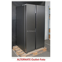 Samsung RS62DG5003S9EF, Side-by-Side edelstahl, AI Energy Mode, All-round Cooling, Twist Ice Maker