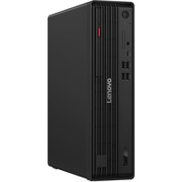 Lenovo ThinkCentre M90s Gen 6 (12YU001KGE), PC-System schwarz, Windows 11 Pro