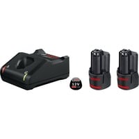 Bosch PRO Starter-Set 12V (2x GBA 12V 2.0Ah + GAL 12V-40 Professional) schwarz, 2x Akku + Ladegerät