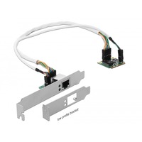DeLOCK Mini PCIe I/O PCIe half size 1 x Gigabit LAN Low Profile, LAN-Adapter