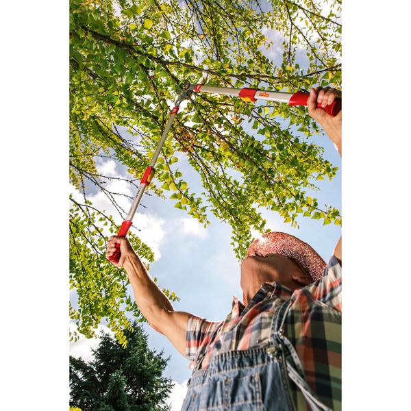 WOLFGarten AmbossAstschere Power Cut RS 900 T "Premium Plus" rot/grau